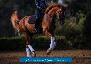 A rider on a chestnut horse performs a dressage movement outdoors, showcasing flying changes. The horse wears white leg wraps and a black saddle. Text at the bottom reads, How to Train Flying Changes.