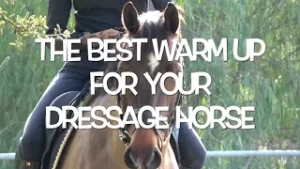A person riding a brown dressage horse, with large white text overlay that says, THE BEST WARM UP FOR YOUR DRESSAGE HORSE. Green trees are blurred in the background.