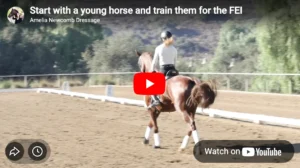 A rider wearing a helmet and light-colored shirt is riding a chestnut horse in an outdoor arena, practicing transitions as part of horse training. The dirt surface is surrounded by trees and hills, and the horse wears white leg wraps.