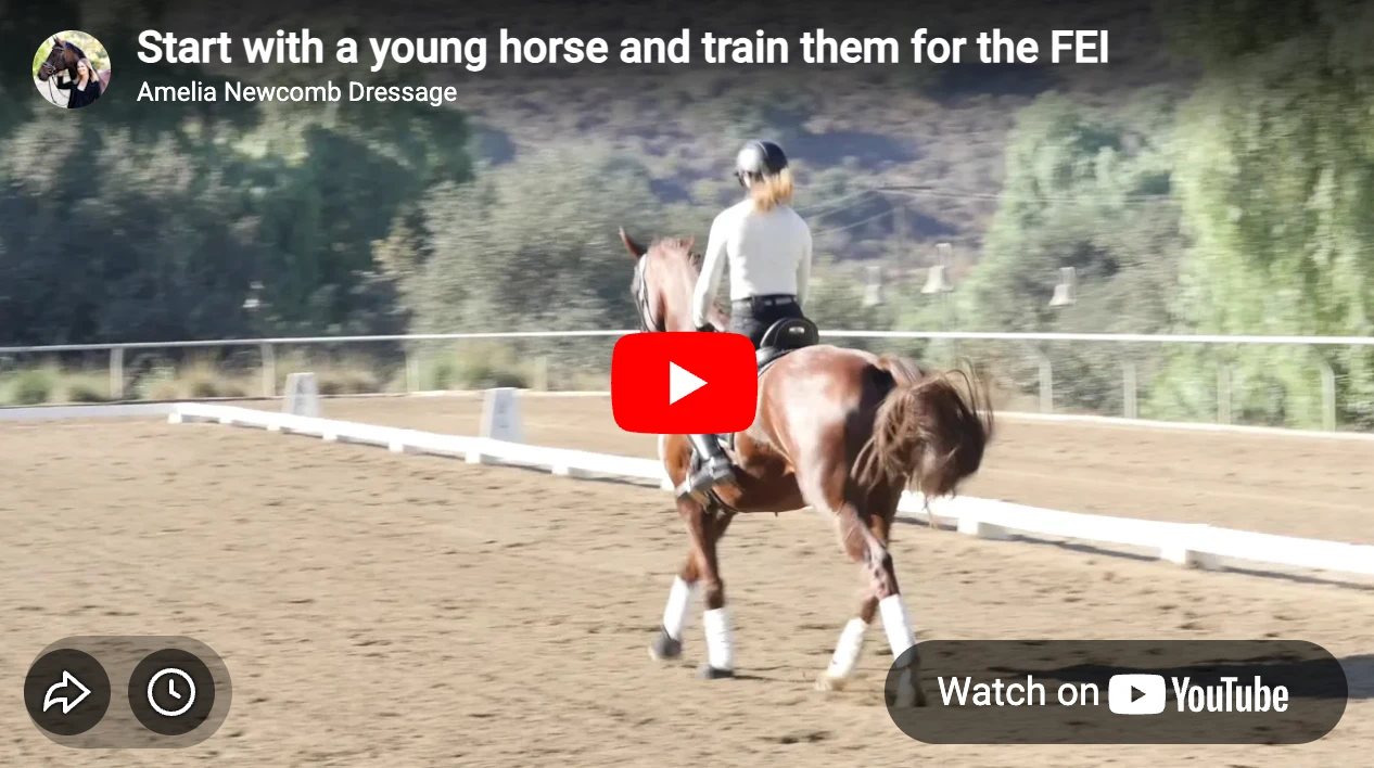 A rider wearing a helmet and light-colored shirt is riding a chestnut horse in an outdoor arena, practicing transitions as part of horse training. The dirt surface is surrounded by trees and hills, and the horse wears white leg wraps.