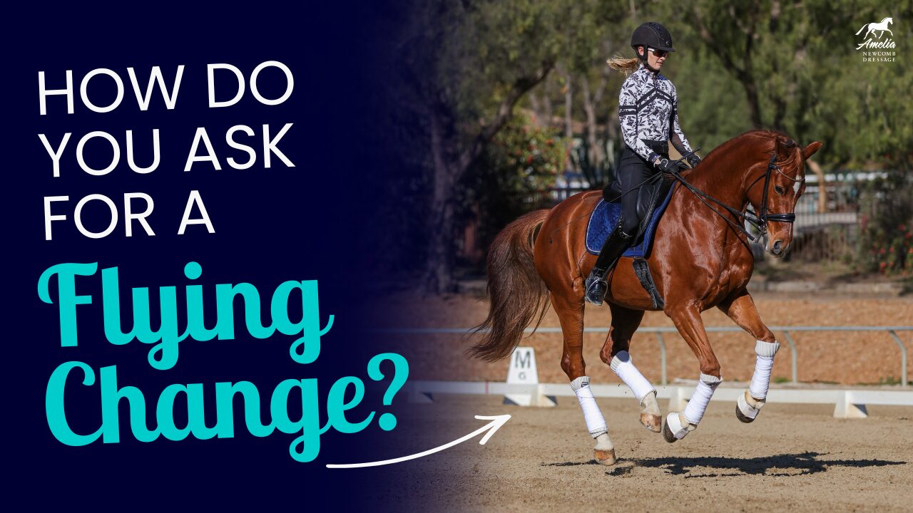 Amelia Newcomb on a chestnut gelding executes dressage movements in an outdoor arena. Text reads, How do you ask for a flying change in horse riding? An arrow indicates the horse’s canter stride, emphasizing the application of correct aids such as weight shift, leg position, and timing for achieving a clean flying change.