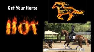 get your horse hot