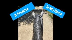 A view from above of a horse’s head and neck on a dirt path, framed by two blue banners—A Promise on the left and To My Horse on the right—symbolizing horseback riding confidence and overcoming fear.