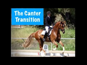A rider in formal attire is riding a chestnut horse in an outdoor arena, demonstrating the trot canter transition. Text on the image reads, The Canter Transition. Trees and greenery are visible in the background.
