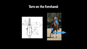 Diagram showing Turn on Forehand: left side illustrates the horse’s pivot movement with dashed lines; right side shows an equestrian riding, blue dots on the horse’s hind legs, and a blue arrow indicating the turn.
