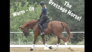 A rider in black gear warms up a chestnut dressage horse in an outdoor arena. The dressage horse wears white leg wraps. Text reads, “Warm-Up The Dressage Horse!” on a green, leafy background.