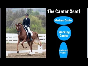 A rider in formal attire canters on a chestnut horse in a dressage arena. Text reads: The Canter Seat! with labeled blue ovals: Medium Canter, Working Canter, and Collected Canter—essential forms in equestrian horse riding.