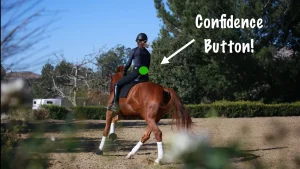A person wearing a helmet rides a brown horse in an outdoor arena. An arrow points to the rider’s lower back with “Confidence Button!” and a green dot, highlighting the spot for self-esteem. Trees and a blue sky are in the background.