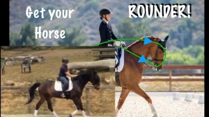 A side-by-side comparison of two riders on horses; left shows a horse with its head raised, right shows a horse rounder, with its neck arched and head down. Arrows highlight the rounder frame. Text reads Get your horse ROUNDER!.