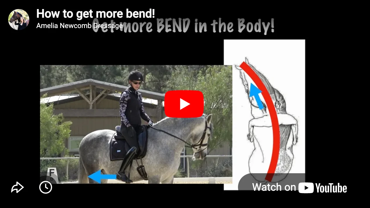 A rider on a gray horse demonstrates how to get more bend, with blue arrows showing motion. Beside them, a diagram of a horse’s curved body has red and blue arrows indicating the direction of the bend.