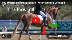 A Dressage Rider on a chestnut horse demonstrates proper leg position; white text reads Toes Forward! with red and green arrows showing heels down. A Dover Saddlery sign appears in the background.