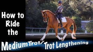 A rider in a helmet and patterned shirt is riding a chestnut horse with white socks in an outdoor arena. Text reads: How to develop trot lengthening with effective horse training techniques.