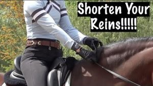 A person riding a horse is holding the reins, dressed in a light blue shirt and black gloves. In bold at the top right corner, the text Shorten Your Reins reminds riders to keep control.