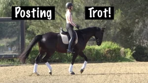 A person wearing a helmet is horse riding a dark horse with white leg wraps in an outdoor arena. Text on the image reads “Posting Trot!” Trees and greenery are in the background as they post the trot.
