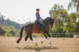 Amelia Newcomb demonstrates turning left in canter on a bay horse in an outdoor arena.