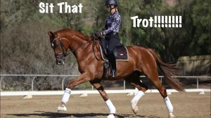 A rider in a helmet and patterned shirt is sitting upright on a chestnut horse performing a sitting trot in an outdoor arena. The text reads Sit That Trot!!!!!!! in large white letters.