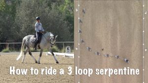 A rider on a gray horse performs basic dressage in an arena; next to it, an aerial view shows the horse’s path forming three loops. Text reads: How to ride a 3 loop serpentine, one of the classic dressage moves.