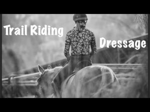 A person wearing a helmet and patterned shirt rides a horse, viewed from behind. The black-and-white image features the words Trail Riding on the left and Dressage Training on the right.