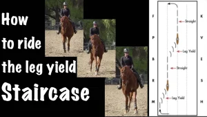 A rider on an OTTB demonstrates leg yield movements in an arena, shown in three sequential photos. Text reads Leg-Yield Staircase: How to ride it, with a diagram of the riding pattern on the right.