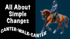 Amelia Newcomb cantering a chestnut horse. All about simple changes. Canter-walk-canter.