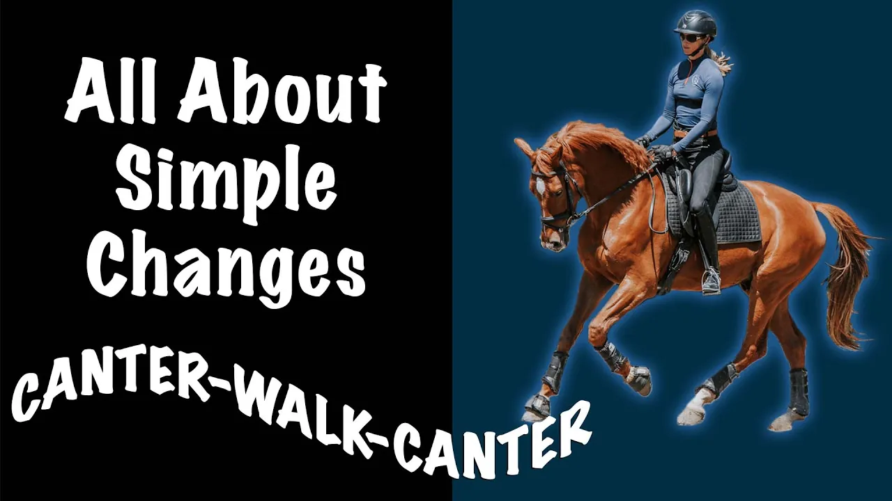 Amelia Newcomb cantering a chestnut horse. All about simple changes. Canter-walk-canter.