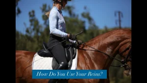 A person in equestrian gear rides a brown horse with a white saddle pad, holding the reins in both hands. The text at the bottom reads, How Do You Use Your Reins? Learn horse riding tips as trees and a blue sky frame the scene.