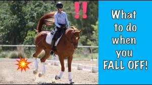 A rider is falling off a brown horse in an outdoor arena. Red exclamation marks and a cartoon explosion highlight the fall. On the right, text reads: What to do when you FALL OFF! Discover safety tips in bold white and blue letters.