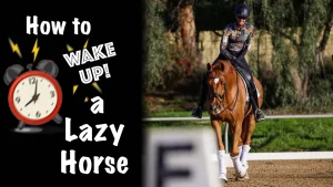 A rider on a brown horse in an outdoor arena, with text on the left reading How to Wake Up a Lazy Horse next to an illustrated alarm clock.