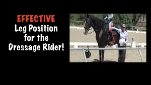 A person stands beside a dark horse in an outdoor dressage arena, adjusting a saddle. Text on the left reads, EFFECTIVE Leg Position for the Dressage Rider! featuring Sue Martin, in bold white and orange letters.
