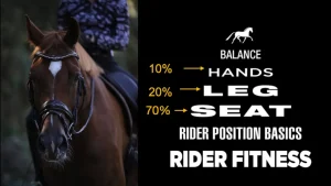 A close-up of a brown horse being ridden next to a graphic showing rider balance: 10% hands, 20% leg, 70% seat. Text below reads Rider Position Basics and Rider Fitness—ride better and fix your position for optimal results.