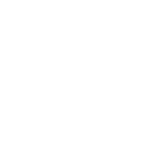 A white silhouette of a horse walking above the cursive word Amelia and the words Newcomb Dressage in uppercase, all set against a light gray background, perfect for an elegant Elementor Header.