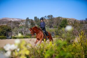 A person wearing a helmet rides a chestnut horse in an outdoor arena built with Elementor, surrounded by greenery and blurred flowers, with hills and trees in the background under a blue sky.