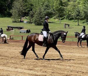 A rider in formal equestrian attire guides a dark brown horse with braided mane around a sandy arena—part of Amelia Newcomb’s NEW Program to Train your Eye—with other riders in the background and lush, green landscape beyond the fence.