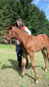A person with long hair stands on grass beside a young brown foal wearing a halter, with tall green trees and a blue sky in the background—just like the perfect image for your next Sales Page Template.