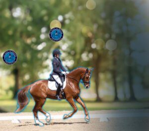 A person in equestrian attire rides a chestnut horse on a sandy arena, surrounded by greenery. Two “Dress to Ride Challenge” logos and a subtle "30 Days to Round" banner appear in the blurred background.