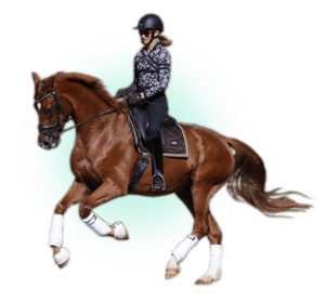 A person, dressed in a black helmet, patterned jacket, and riding boots, demonstrates expert form in this Rider Position Masterclass while riding a brown horse with white leg wraps and a black saddle against a plain background.
