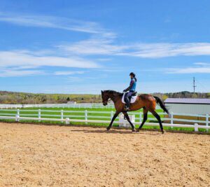 A person wearing a helmet rides a brown horse in an outdoor sandy arena, framed by a white fence, green fields, and blue sky—an ideal scene to Train Your Eye, just like at Kjersin.