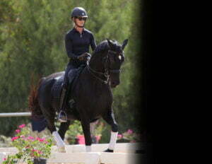 A person in black riding gear and helmet demonstrates excellent rider position while riding a dark horse with white leg wraps in an outdoor arena, surrounded by greenery and pink flowers, with part of the image shadowed on the right.