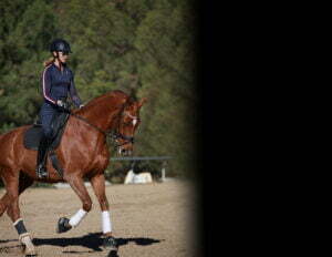 A woman in equestrian gear practices her Free Rider Position on a chestnut horse with white leg wraps in an outdoor arena, framed by trees and a large black area partially obscuring the right side of the image.