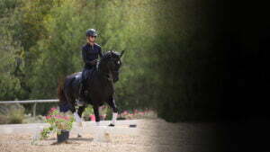 A person demonstrating excellent rider position and wearing dark riding gear is riding a black horse in an outdoor arena, surrounded by greenery and potted flowers. The right side of the image fades into darkness.