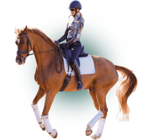 A person wearing a helmet, riding boots, and patterned jacket is riding a chestnut horse with a white saddle pad and leg wraps, showcasing dynamic movement—perfect for a Rider Position Masterclass in dressage.