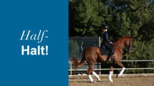 A rider in black equestrian gear performs dressage on a chestnut horse with white leg wraps in an outdoor arena. Text on a blue background reads Half-Halt!—perfect for Black Friday riding deals.