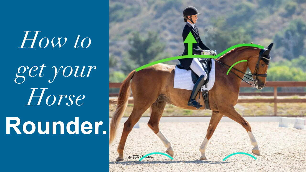 How to get your horse ROUNDER!