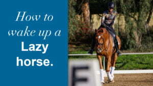 A person in riding gear is riding a chestnut horse in an outdoor arena. The left side of the image displays text saying, How to wake up a Lazy horse, perfect for riders focused on giving back by improving their horsemanship skills.