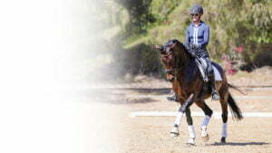 A person wearing a helmet, sunglasses, and a long-sleeved shirt rides a dark brown horse with white leg wraps in an outdoor arena, channeling focus and confidence—a perfect setting to discuss Rider Mindset in our upcoming Equestrian Webinar.