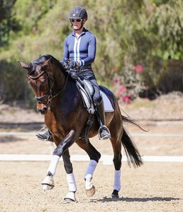 A person in a helmet and riding gear, focused on their rider mindset, is riding a dark brown horse with white leg wraps in an outdoor arena. Trees and greenery are visible in the background.
