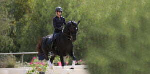 An equestrian in a helmet, sunglasses, and dark clothing demonstrates excellent rider position while riding a black horse with white leg wraps through an outdoor setting surrounded by trees and flowers.