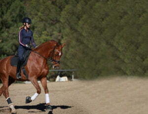 A person in a helmet and riding gear demonstrates the Free Rider Position, riding a brown horse with white leg wraps in a sandy arena, with green trees in the background. Perfect for showcasing during our upcoming webinar on FB.