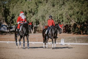 Two people riding black horses in an outdoor arena, both horses wear red and white hats. One rider is dressed as Santa Claus, the other in a red shirt and helmet—wishing Your Family Happy Holidays amidst trees and a dressage marker.