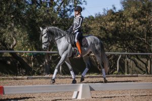 A person in a black and white skeleton costume demonstrates excellent rider position while riding a grey horse in an outdoor equestrian arena on a sunny 2023 day, surrounded by trees and a fence.